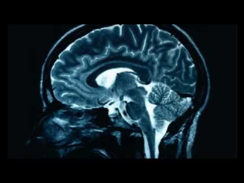 Why Religion causes brain damage
