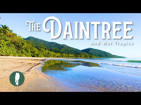 Videó: Daintree Rainforest: A teljes útmutató