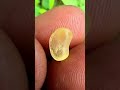 💎 This 2.50ct Natural Yellow Sapphire Rough Looks Like PURE GOLD 😳💛