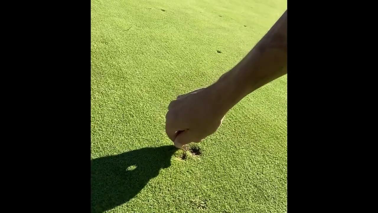How to fix a ball mark YouTube