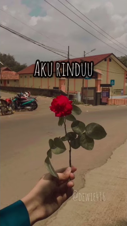 STORY WA 30 DETIK// REGGAE INI RINDU😌