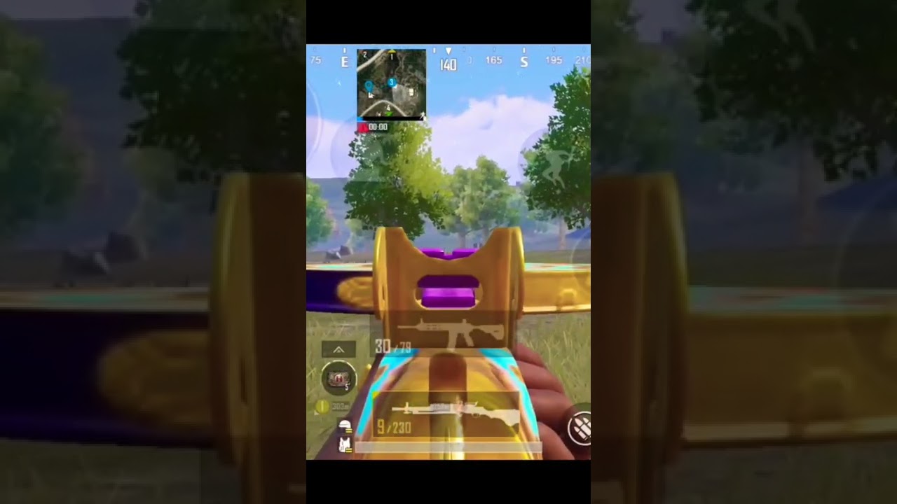 DP Iron sight is better than AKM? Proton Plays | 