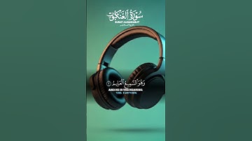 #تلاوة_مميزة #اكسبلور #love #duet #تيك_توك