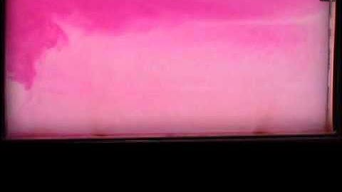 Horizontal Convection (Solute)- perturbed