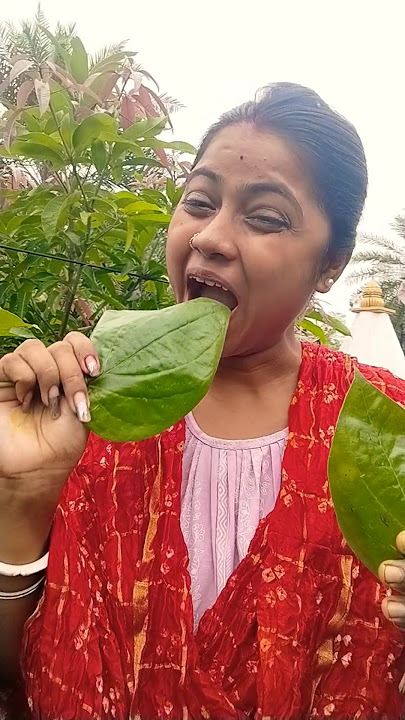 🥪🍡ASMR AMERICA'SCANDYORIGINAL DUBBLE BUBBLE GUM (3 FRUIT FLAVORS) AND EATING...part3