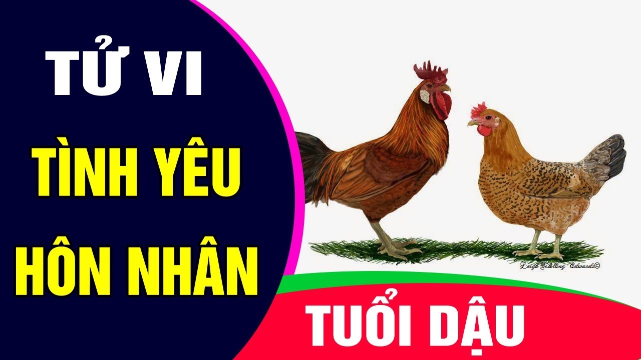 Tuổi Dậu là con gì Người tuổi Dậu sinh năm bao nhiêu  Vansunet