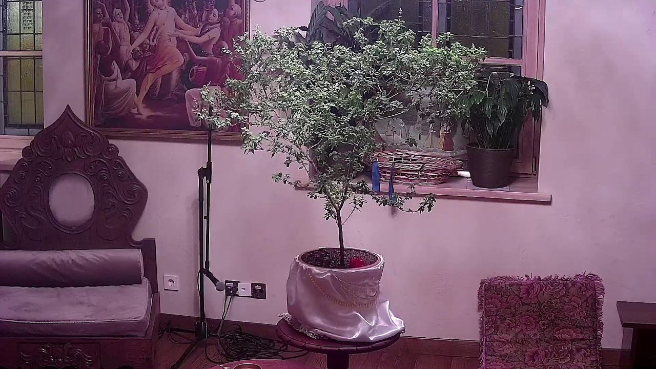 Mangala-Arati, maldos Nrisimhadevai,Tulasi pudža,Čaitanya Čaritamrita 2026-02-23