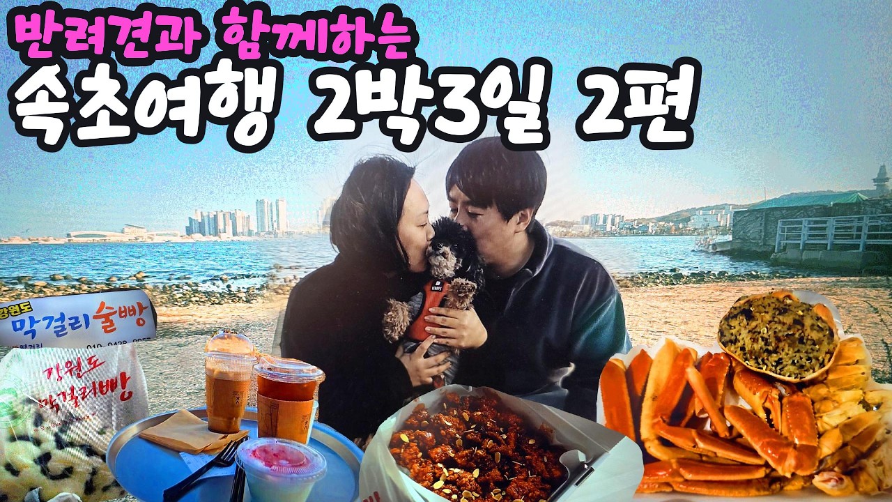 속초시장 먹방투어🔥 막걸리술빵·만석닭강정·대게정 대게까지! 반려견과 2박3일 속초여행 2편