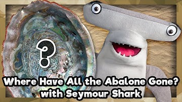 Where Did The Abalone Go? | Part Two | Aquarium of the Pacific