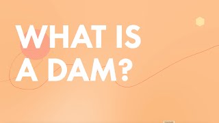 What is a DAM (Digital Asset Management?