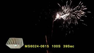 MS6024 0615 100 Shots