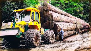 Dangerous Heavy Wood Trucks On The Cliff - Incredible Truck Driving Skill Stuck on Mud