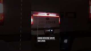 Putco Excalibur: Bold Style & Next-Level Function for Your Ford Truck