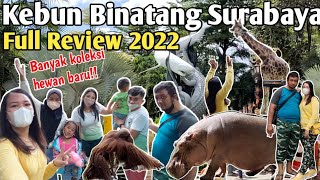 Full Review Kebun Binatang Surabaya 2022 || Koleksi Hewan Baru Hingga Yang Mati 😳