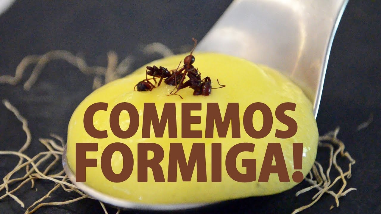 T01E30 : Comemos Formigas - IPA Dive
