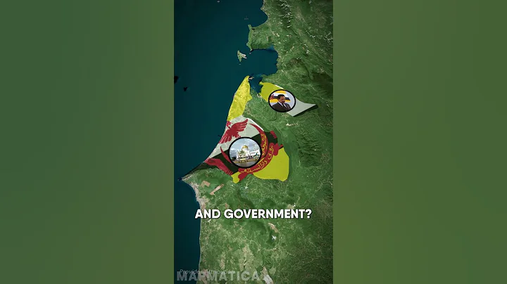 Brunei Doesn't Have What?! 🇧🇳 - DayDayNews