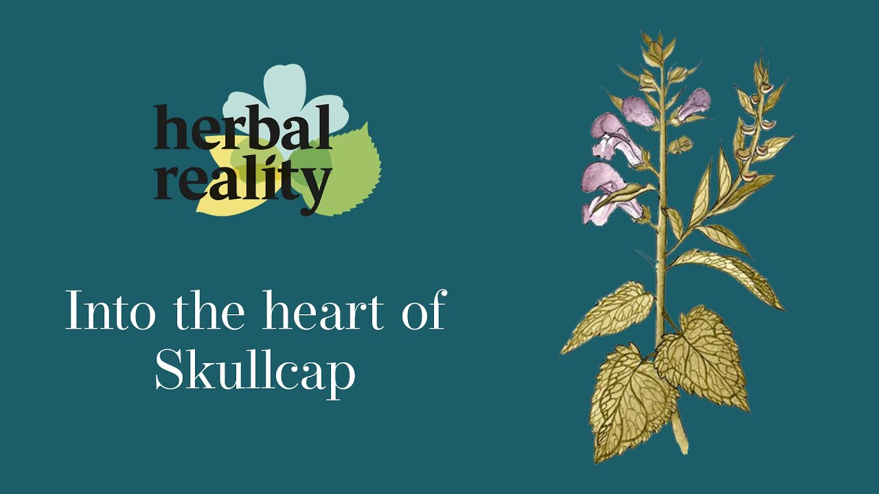 Skullcap - YouTube