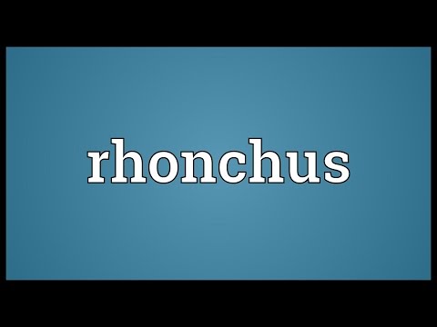 Header of rhonchus