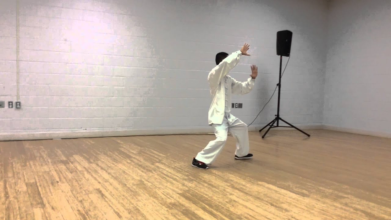 Traditional Yang Style Tai Chi 26 forms performed in Newmarket 2015