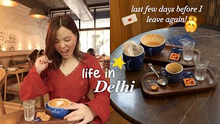 Last Few days in Delhi homebody life of a content creator Packing