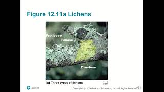 BIO 220 Chapter 12 - Eukaryotic Pathogens