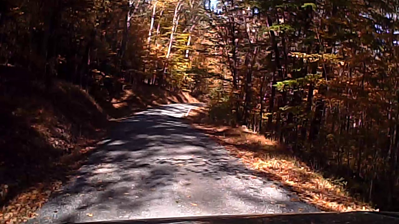 Tuscarora State Forest YouTube