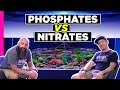 Nitrates vs phosphates the make or break of your aquarium