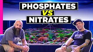 Nitrates Vs. Phosphates The make or break of your Aquarium!