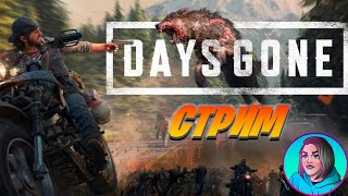 НАЧИНАЕМ ЖИЗНЬ ПОСЛЕ - DAYS GONE STREAM