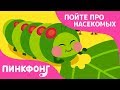 Голодные гусеницы | Песни про насекомых | Пинкфонг песни для детей