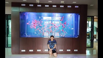 Leng บางบอน 3 - Update ตู้ปลา 3.6 เมตร + บ่อกระจก 8 เมตร พร้อมขอเทคนิควิชาจากพี่เล้ง (งานพี่โหน่ง)