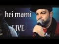 FLORIN SALAM - Hei mami (LIVE NOU 2015)