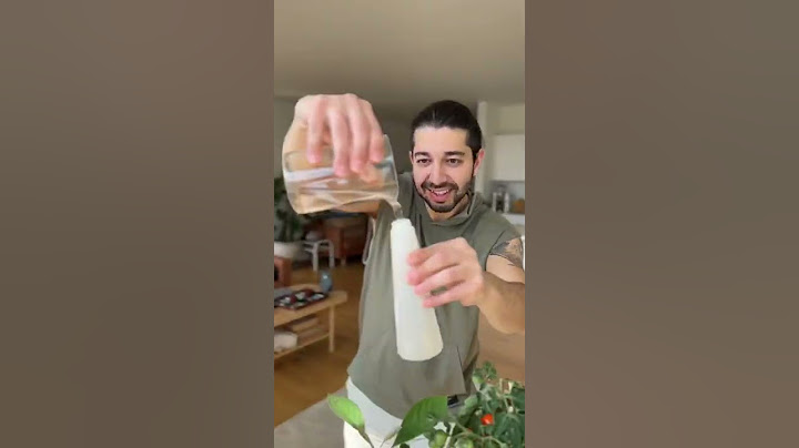 How to Get Rid of Fungus Gnats | DIY Remedy | creative explained