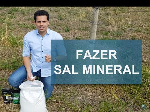 Vídeo: Como Fazer Um Mineral