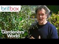 Monty Don Shows How to Pot Your Olive Tree Correctly | Gardeners' World