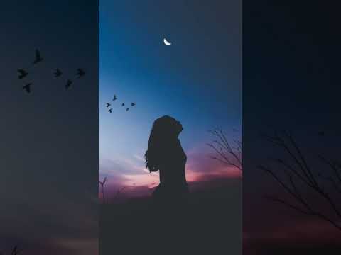 Things I Have Learnt From BTS Bts Wildflower 