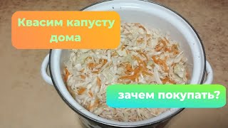 Квасим капусту дома Зачем покупать