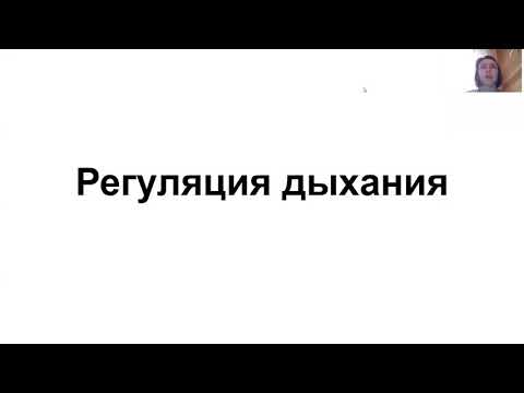 Регуляция дыхания