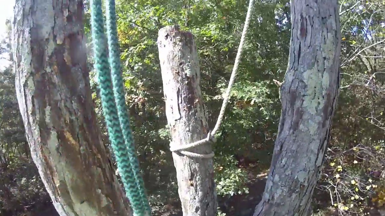 Dismantling A Large White Oak Tree Part 5 - (2017) - YouTube