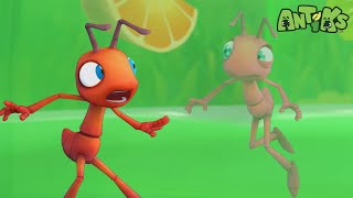 Se essa moda de torta pega 🤣🐜 ANTIKS BRASIL | Desenhos Animados Engraçados para Crianças