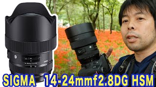 【カメラ】SIGMAの14-24mmf2.8を持って巾着田の曼珠沙華まつりを撮影してきたよ！