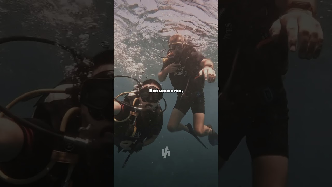 ❗️РЫБА, КОТОРАЯ ПРИВЕЛА ЧЕЛОВЕКА К МЕСТИ❗️