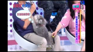 0910 親愛的 妳愛寵物居然比愛我多 超視《私房話老實說》 part1/7
