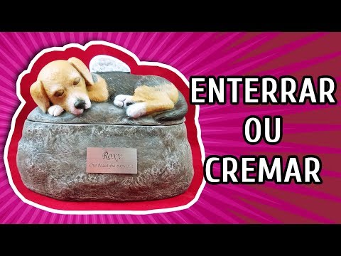 Vídeo: O que fazer quando seu cachorro morre em casa