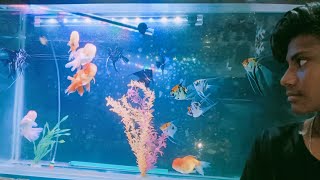 aquarium pet shop by Exotic Birds 878 views 9 months ago 28 minutes