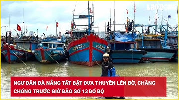 Ngư dân Đà Nẵng tất bật đưa thuyền lên bờ, chằng chống trước giờ bão số 13 đổ bộ| Báo Lao Động