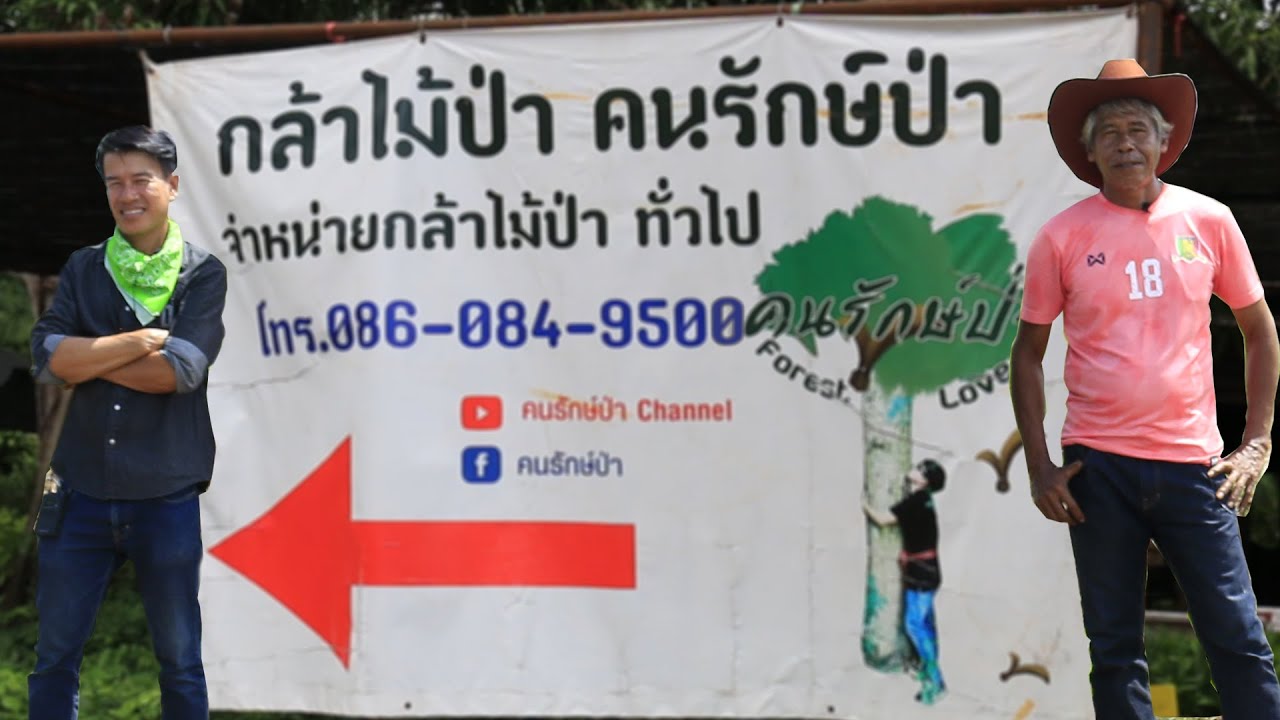 ร้านกล้าไม้ คนรักษ์ป่า | คนรักษ์ป่า ep 129