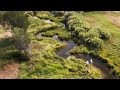 Fly fishing film  dry fly spring creek fly fishing by todd moen