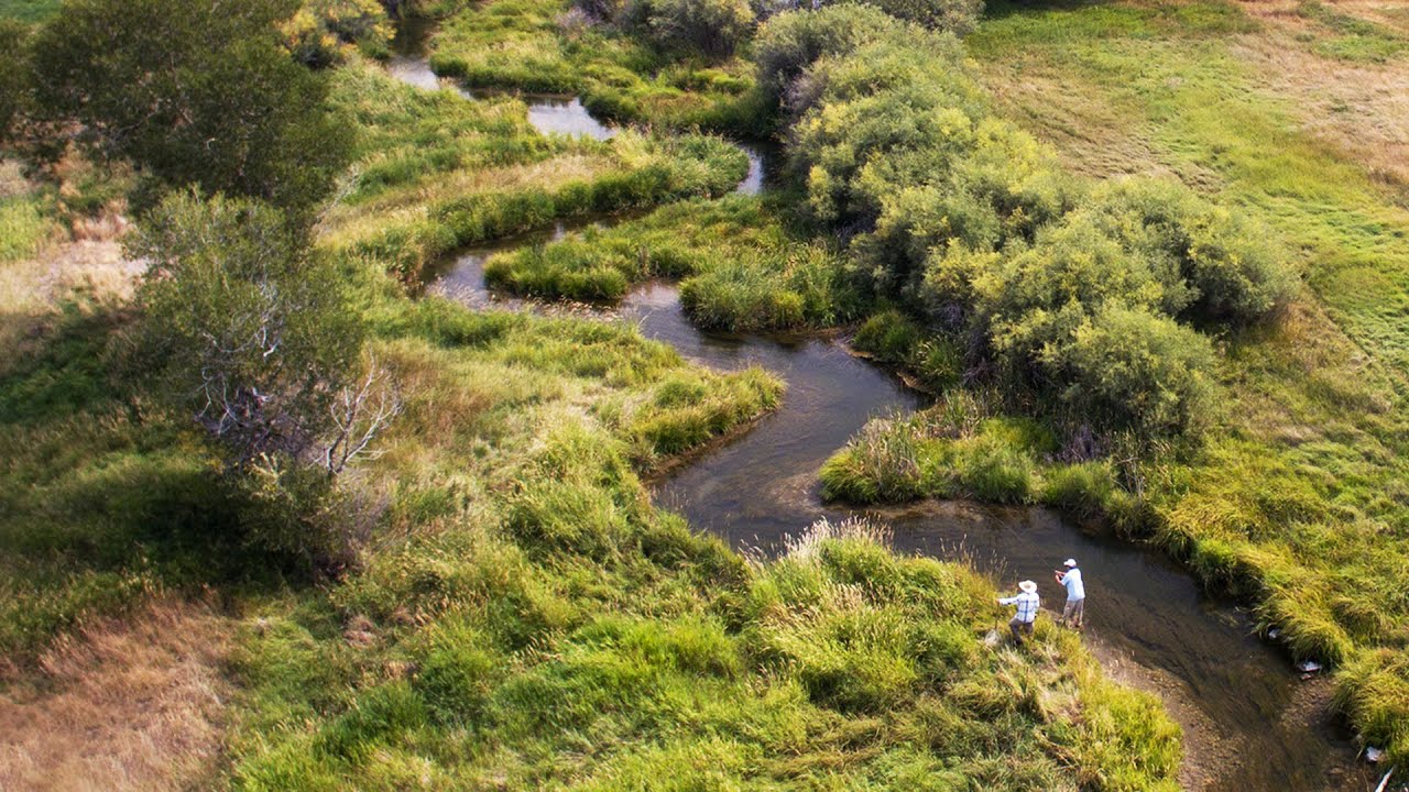 Fly Fishing Film - Dry Fly Spring Creek Fly Fishing by Todd Moen