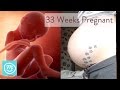 33 Weeks Pregnant: What You Need To Know - Channel Mum
